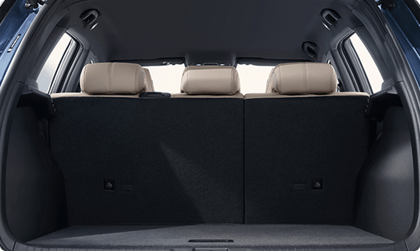 SONG PRO DM-i CAJUELA SONG PRO DM-i CAJUELA