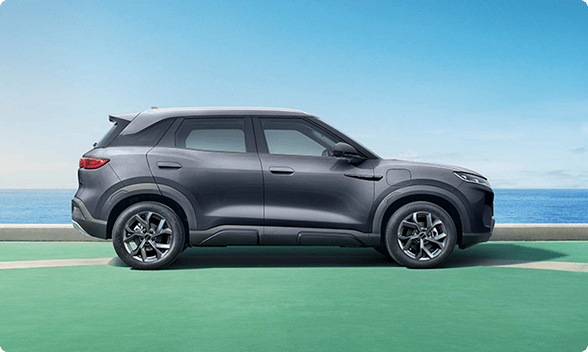 SONG PRO DM-i apariencia SONG PRO DM-i apariencia