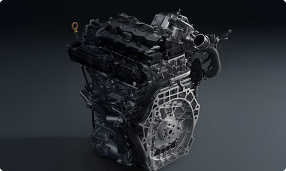 image (20) image (20)